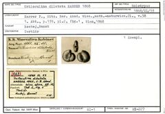 Karteikarte zum Holotyp von Triloculina dilatata Karrer, 1868